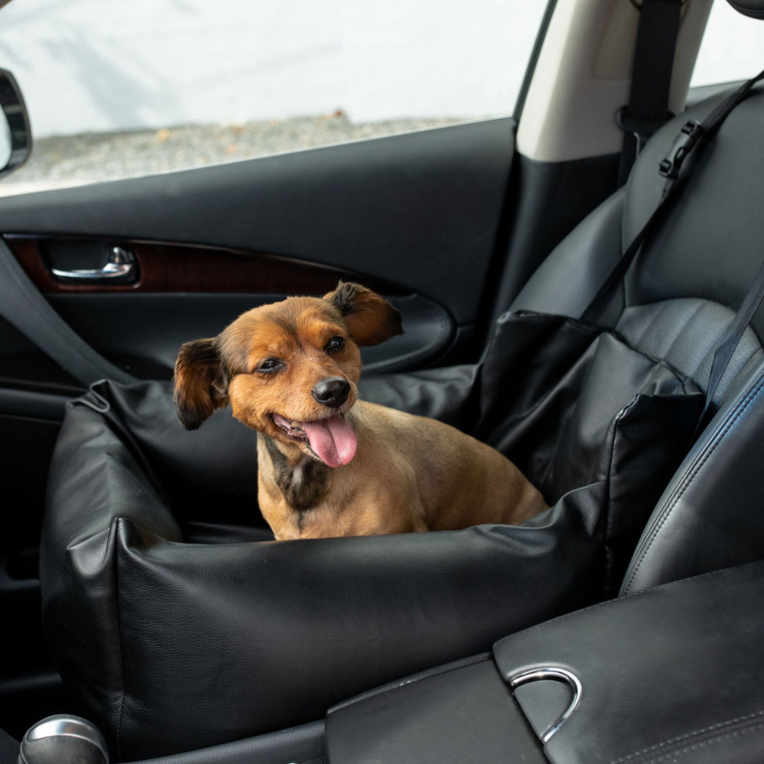 PupProtector™ Faux Leather Dog Car Bed – Memory Foam Booster Seat with Safety Straps, Waterproof Liner & Removable Cover - Black