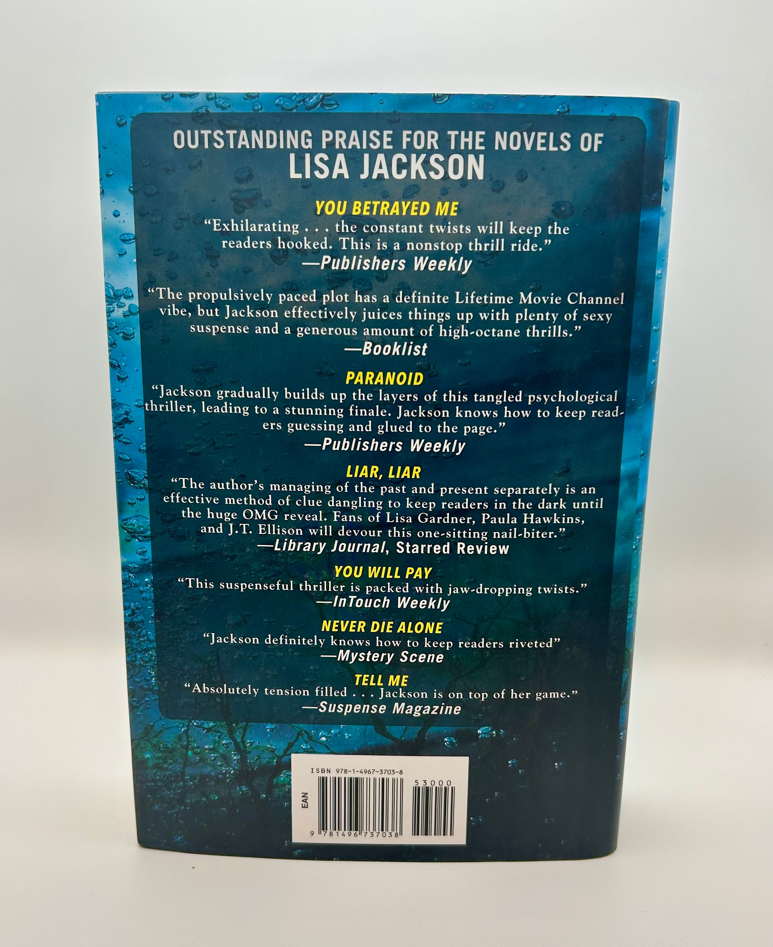 It Happened on the Lake Hardcover – Thriller Standalone Novel