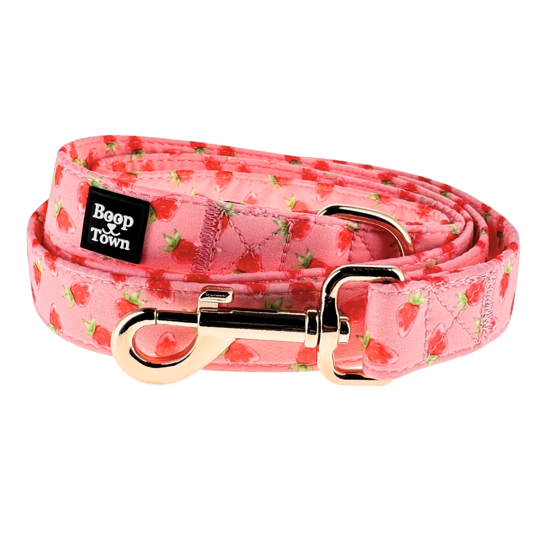 Strawberries Dog Leash – 5ft Soft Cotton Lead with Gold Swivel Clip