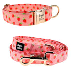 Boop Town Dog Collar and Leash Set – Cotton Adjustable Set with Gold Hardware