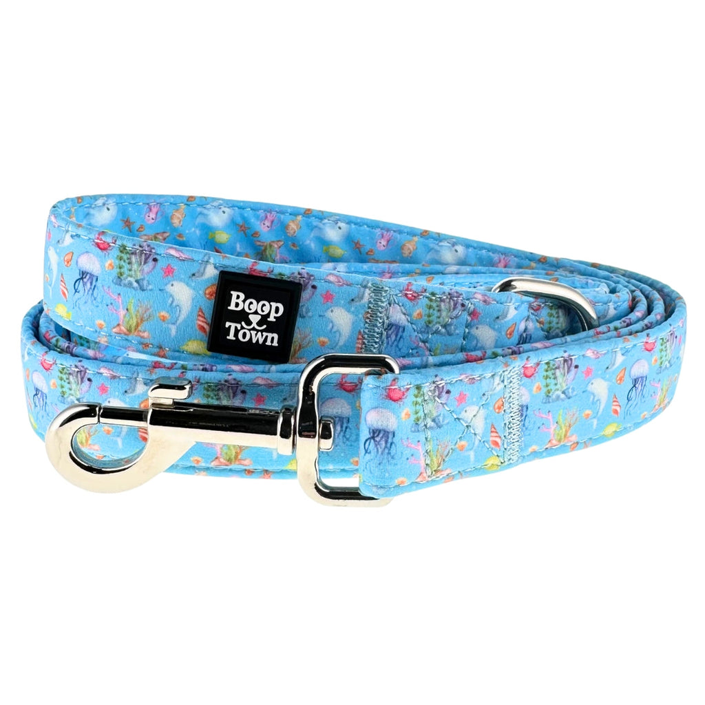 Boop Town Dog Leash – 5ft Soft Cotton Leash with Durable Metal Hardware - Ash & Audrey