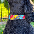 Boop Town Cotton Dog Collar – Adjustable Soft Collar with Gold Hardware - Ash & Audrey