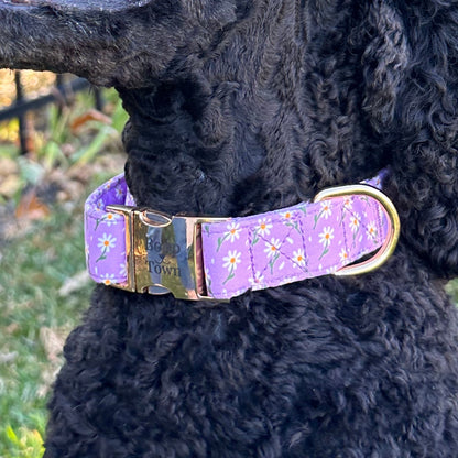 Purple Daisy Dog Collar – Soft Adjustable Cotton Collar with Metal Hardware