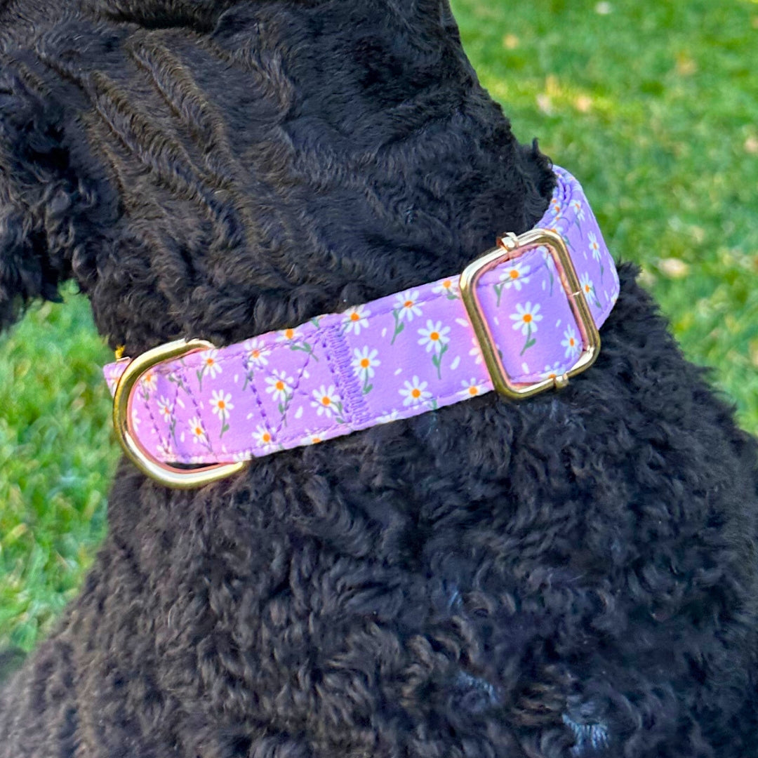 Boop Town Cotton Dog Collar – Adjustable Soft Collar with Gold Hardware