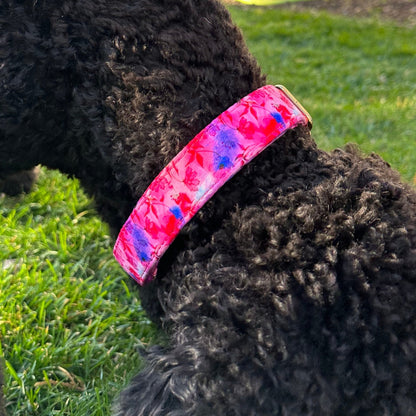 Boop Town Cotton Dog Collar – Adjustable Soft Collar with Gold Hardware