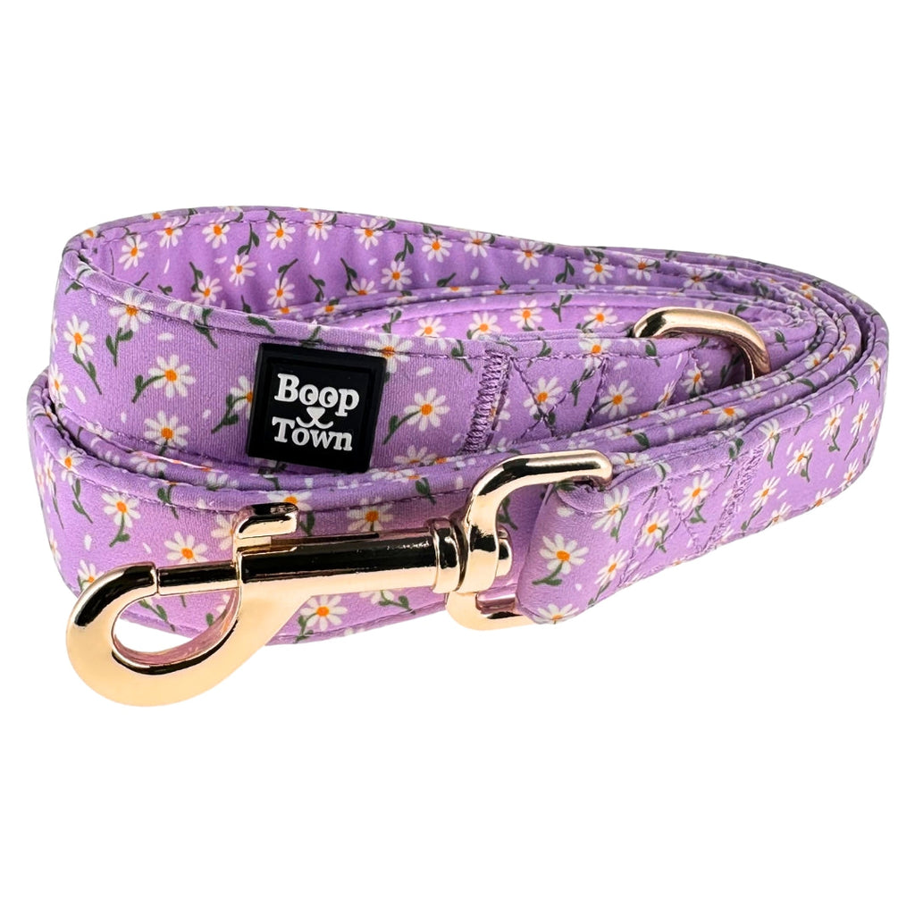 Boop Town Dog Leash – 5ft Soft Cotton Leash with Durable Metal Hardware - Ash & Audrey