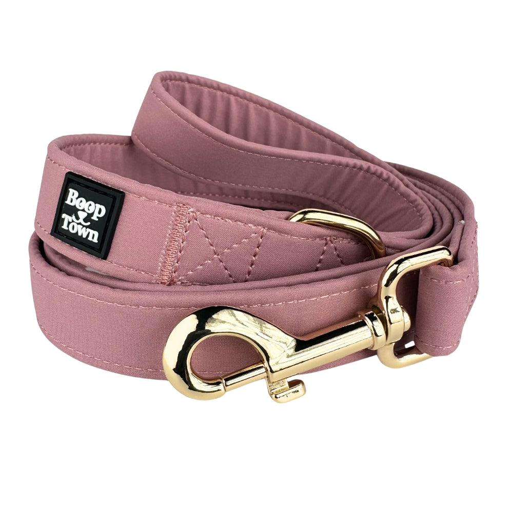 Boop Town Dog Leash – 5ft Soft Cotton Leash with Durable Metal Hardware