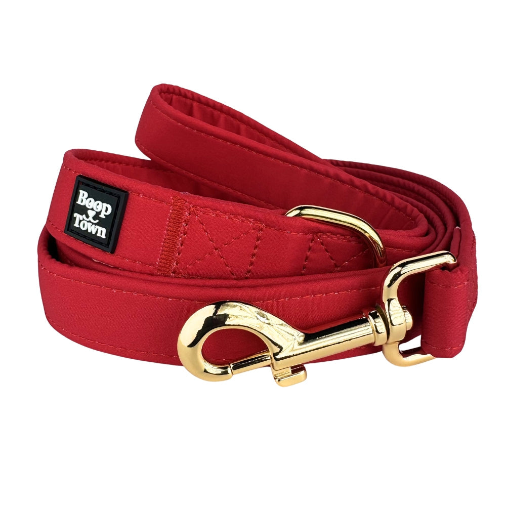 Boop Town Dog Leash – 5ft Soft Cotton Leash with Durable Metal Hardware