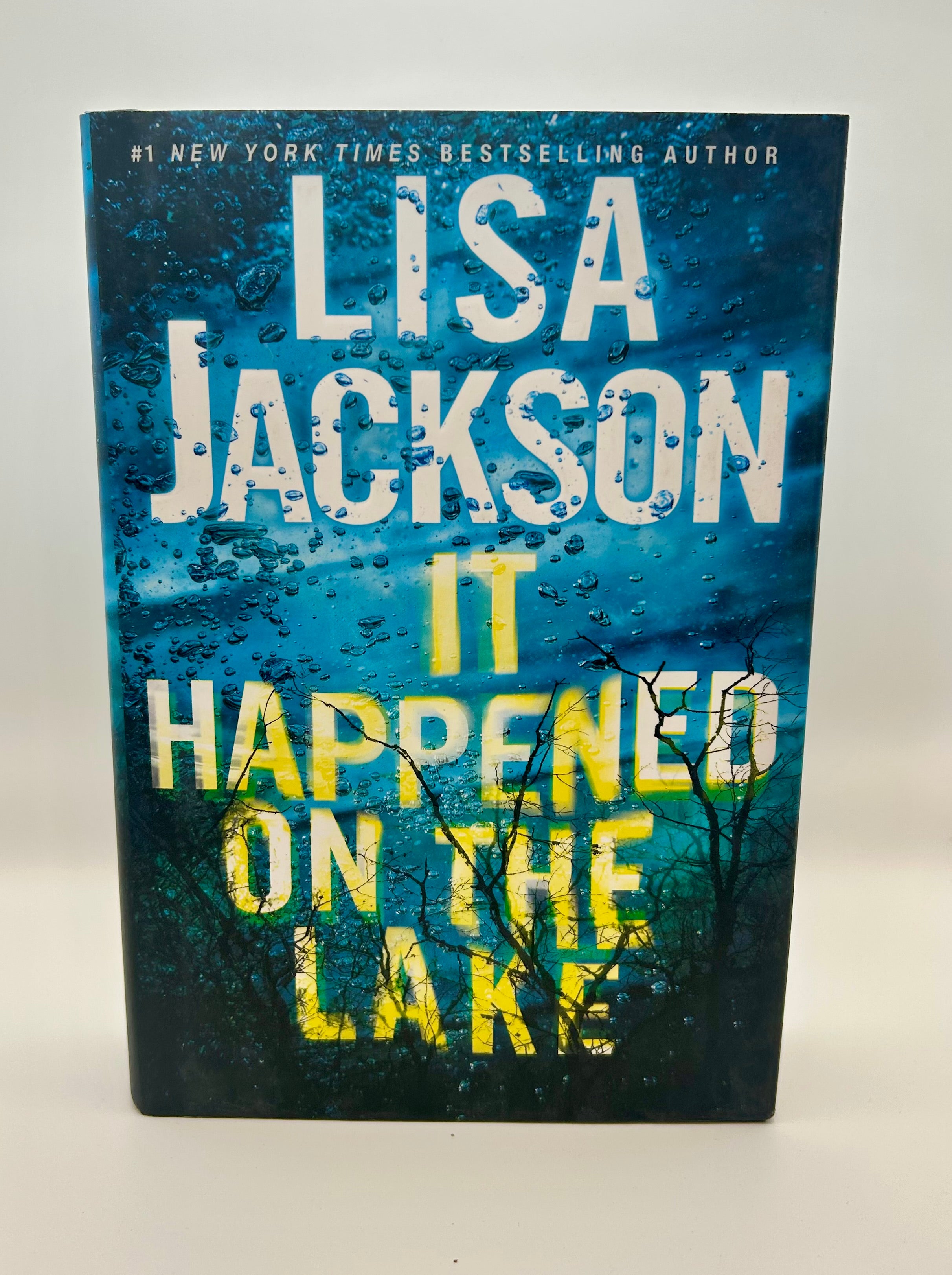 It Happened on the Lake Hardcover – Thriller Standalone Novel