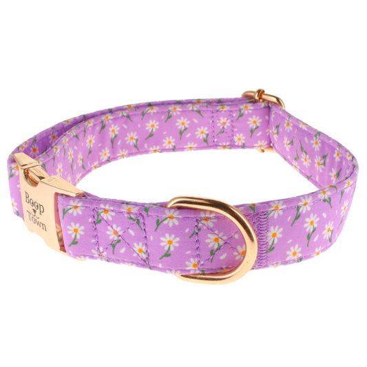 Purple Daisy Dog Collar – Soft Adjustable Cotton Collar with Metal Hardware