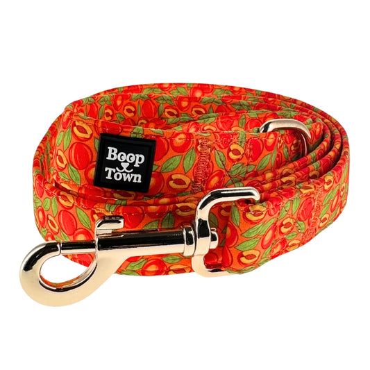 Peaches Dog Leash – 5ft Cotton-Wrapped Lead with Gold Swivel Clip