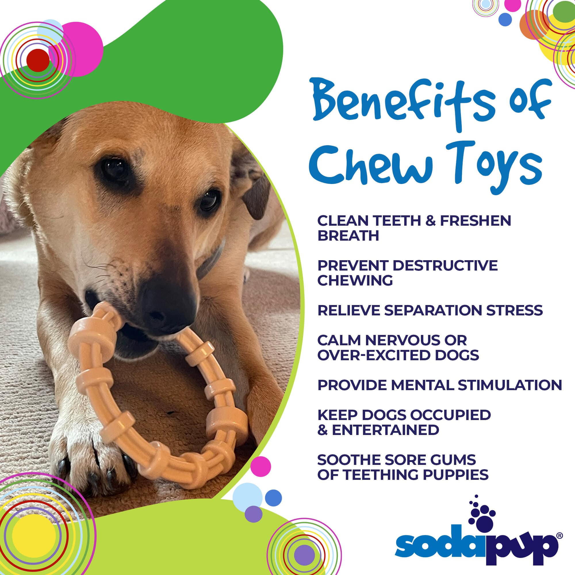 SodaPup Honey Bone chicken flavored nylon teething ring with textured ridges for puppies and power chewers up to 55 pounds.