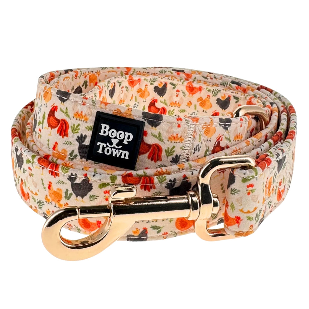Boop Town Dog Leash – 5ft Soft Cotton Leash with Durable Metal Hardware - Ash & Audrey