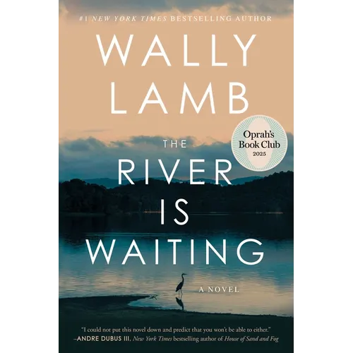 The River Is Waiting (Oprah's Book Club)