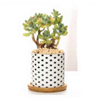 Black and White Planters Set – Ceramic Planters with Bamboo Trays