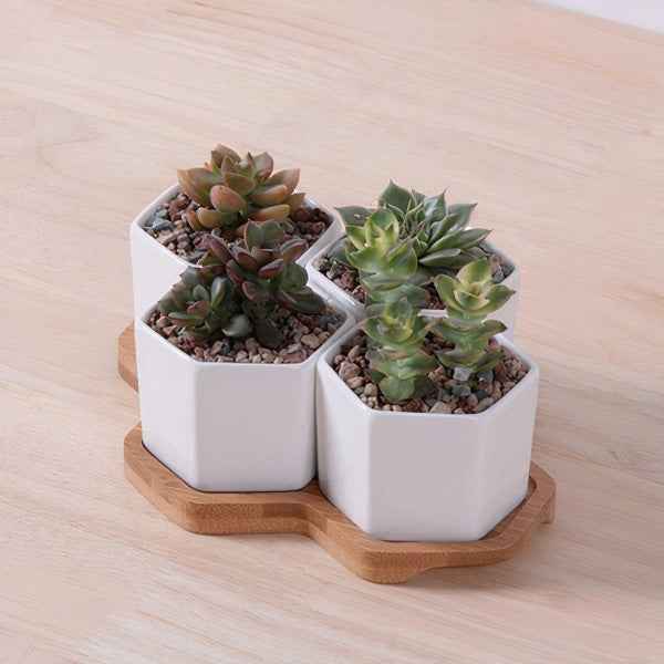 Beehive Planter Set – 4 Ceramic Planters with Bamboo Tray