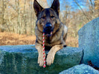 USA-K9 Magnum Skull by SodaPup black rubber dog chew toy and treat dispenser made in the USA for extreme chewers and dogs approximately 30 to 65 pounds.