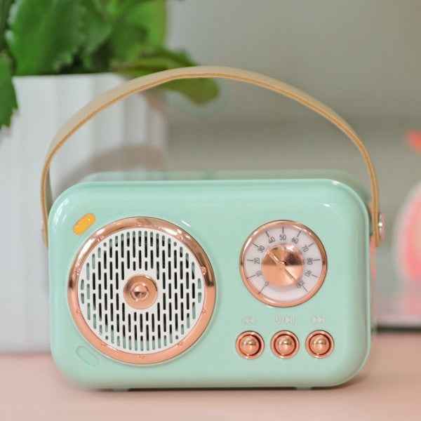 Mini Karaoke Machine – Portable Bluetooth Karaoke Speaker
