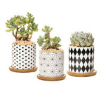 Black and White Planters Set – Ceramic Planters with Bamboo Trays