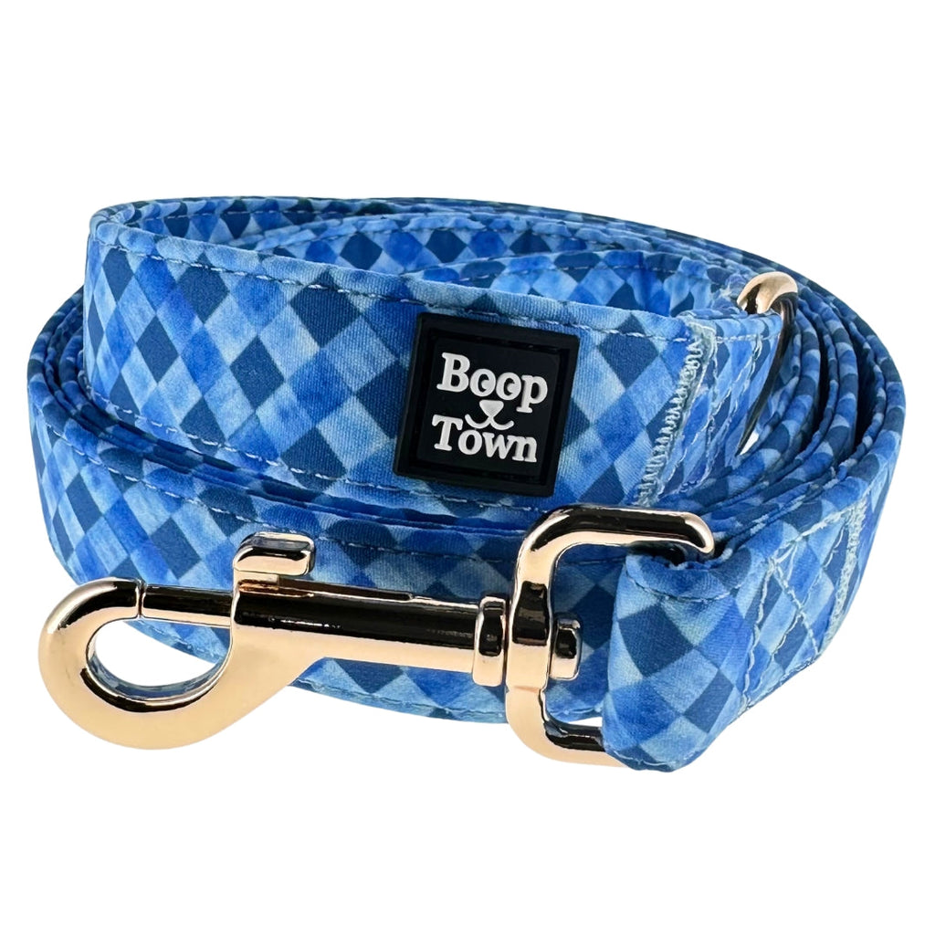 Boop Town Dog Leash – 5ft Soft Cotton Leash with Durable Metal Hardware - Ash & Audrey