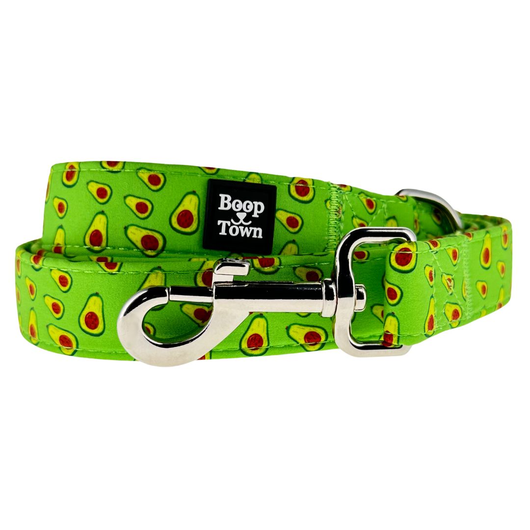 Boop Town Dog Leash – 5ft Soft Cotton Leash with Durable Metal Hardware