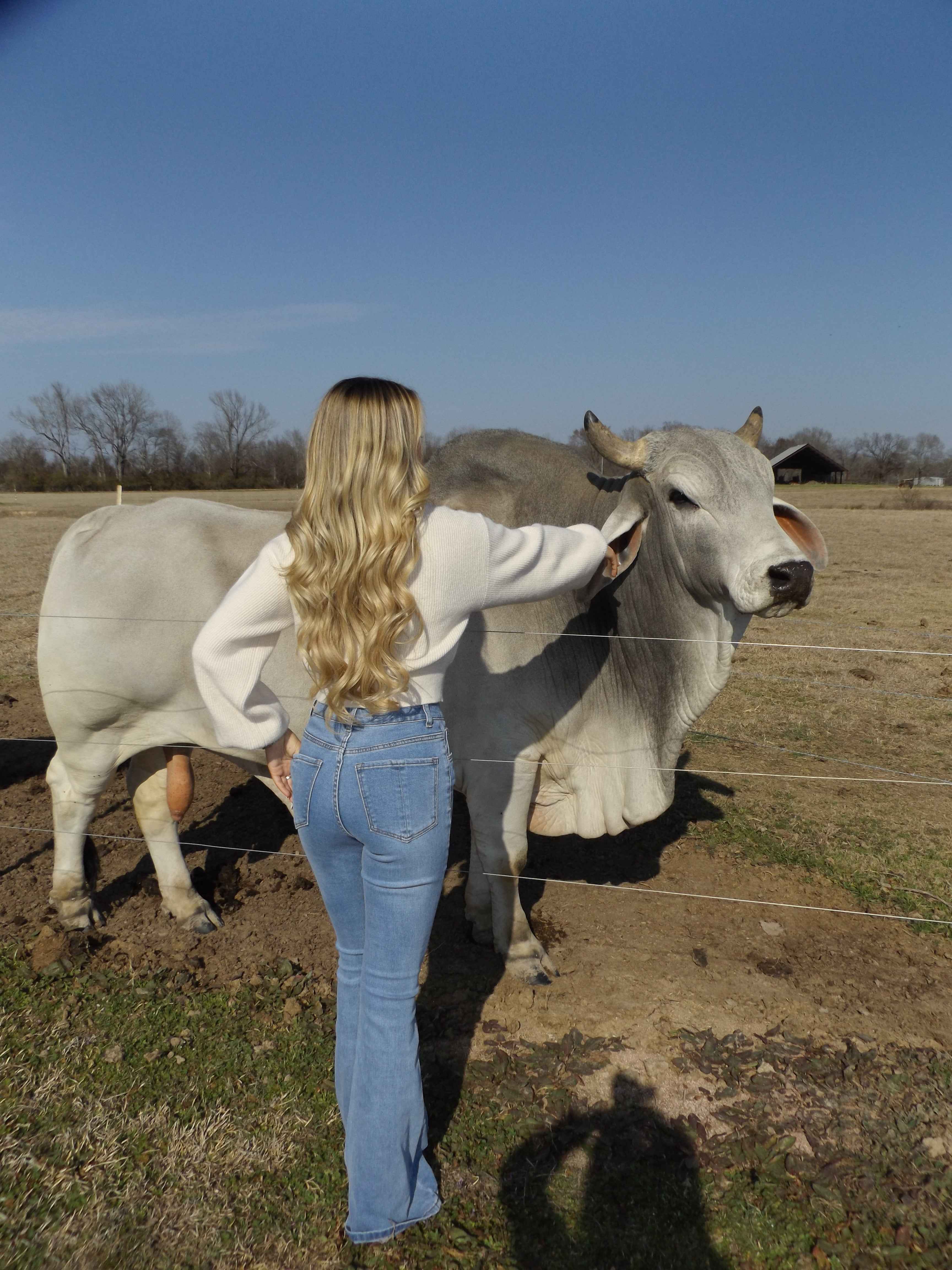 Danny Medium Wash Flare Jeans – High Rise Stretch Denim