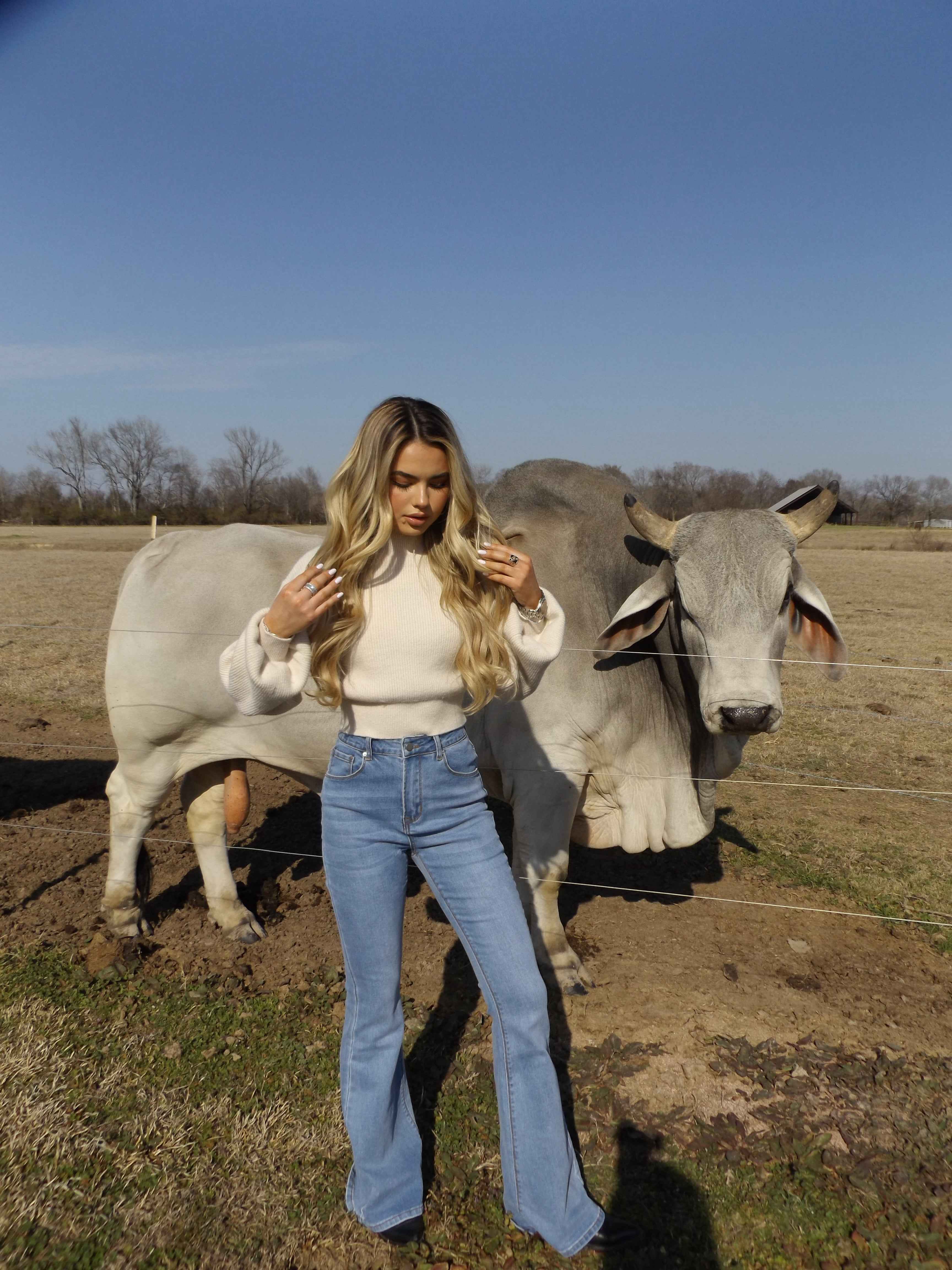 Danny Medium Wash Flare Jeans – High Rise Stretch Denim