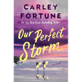 Our Perfect Storm - Hardcover