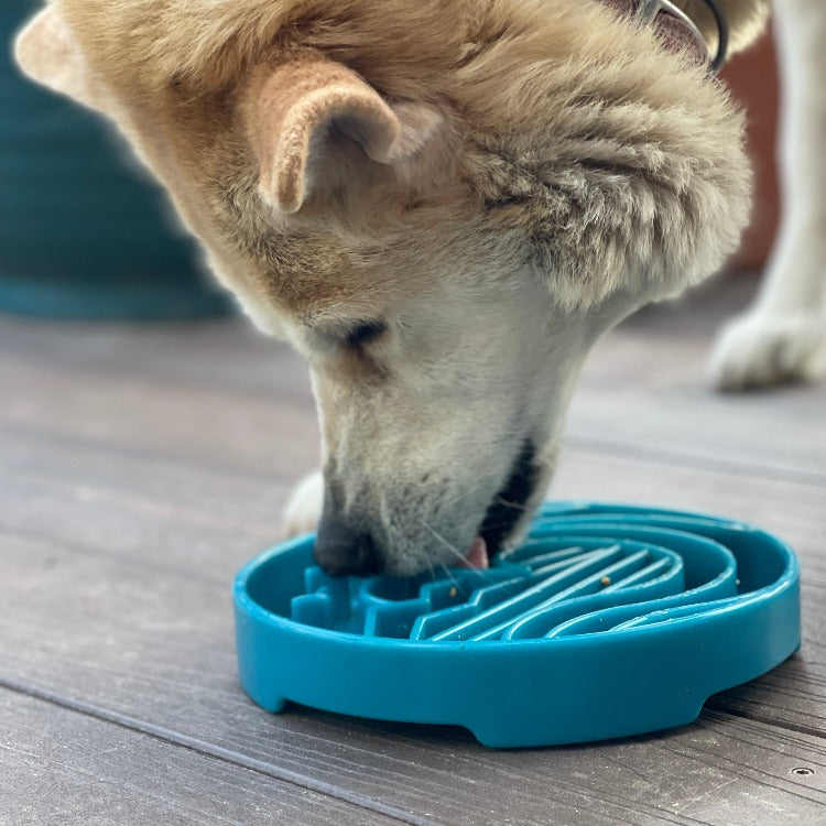 Light blue SodaPup Baja eTray shallow slow feeder dog bowl with textured enrichment design for flat-faced dogs and fast eaters.