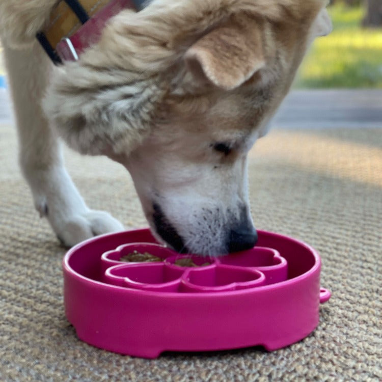 SodaPup Flower eBowl deep slow feeder dog bowl with flower-shaped enrichment ridges, available in pink or purple for medium and large dogs.