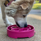 SodaPup Flower eBowl deep slow feeder dog bowl with flower-shaped enrichment ridges, available in pink or purple for medium and large dogs.