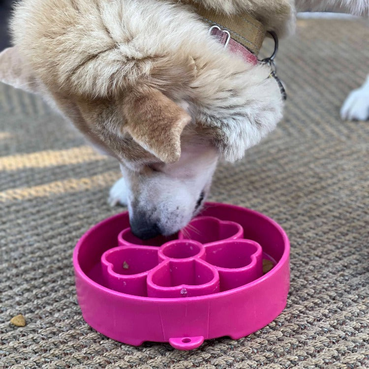 SodaPup Flower eBowl deep slow feeder dog bowl with flower-shaped enrichment ridges, available in pink or purple for medium and large dogs.