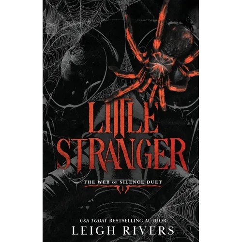 Little Stranger (Standalone Dark Romance) Paperback by Leigh Rivers
