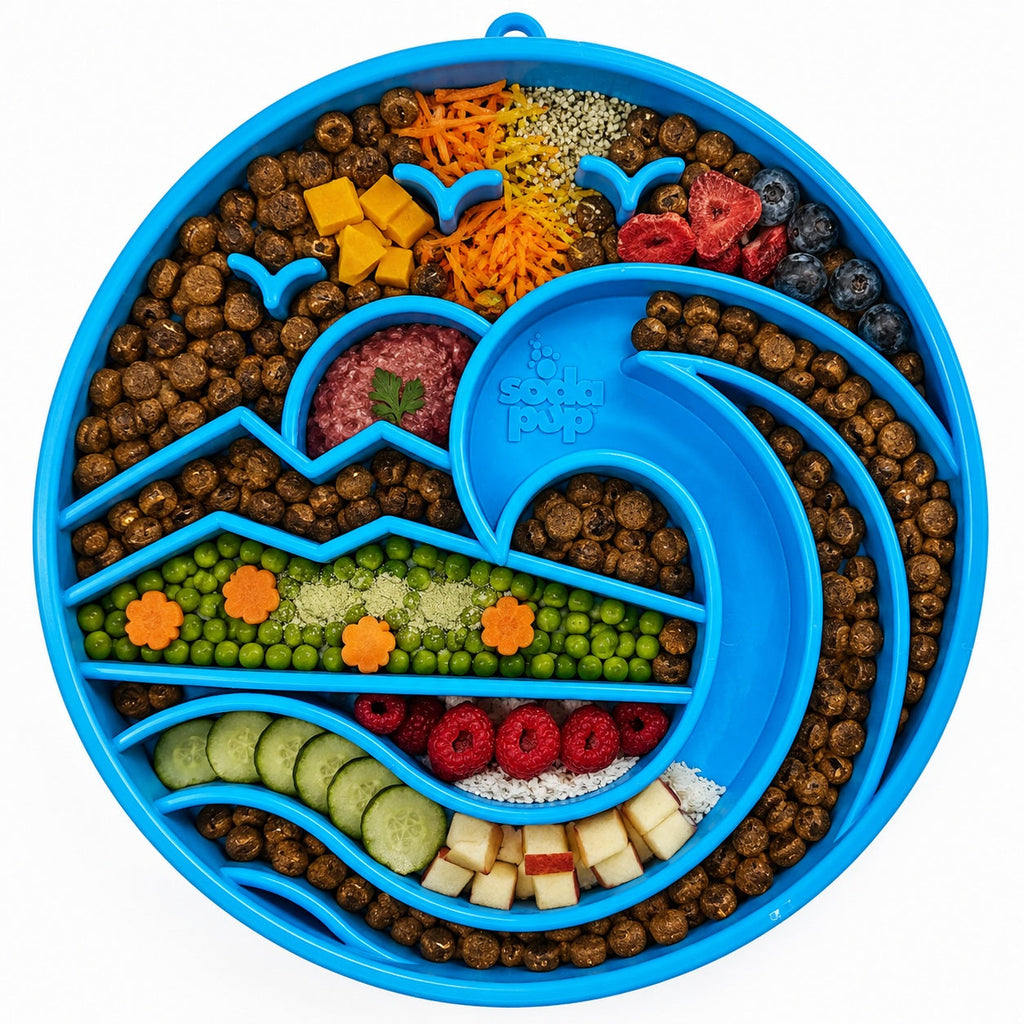 Light blue SodaPup Baja eTray shallow slow feeder dog bowl with textured enrichment design for flat-faced dogs and fast eaters.
