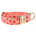 Boop Town Cotton Dog Collar – Adjustable Soft Collar with Gold Hardware - Ash & Audrey