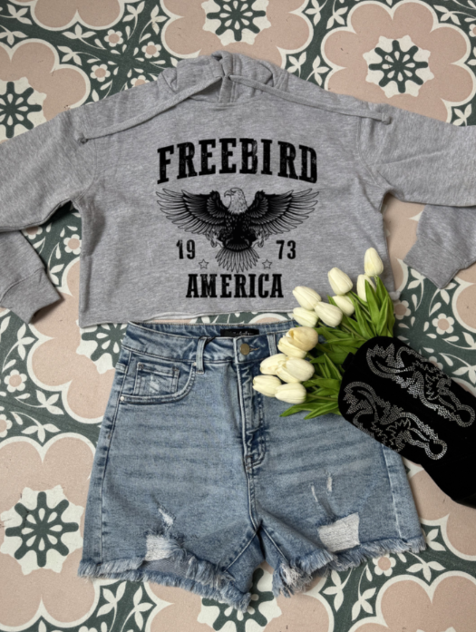 Women’s Freebird 1973 graphic tee featuring a bold Freebird America design, bald eagle graphic, black detailing, and vintage-inspired artwork on a Comfort Colors® cotton Cropped Hoodie in Grey