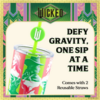 Officially licensed WICKED 24-ounce stainless steel insulated tumbler featuring portraits of Glinda and Elphaba with a removable lid and straws.