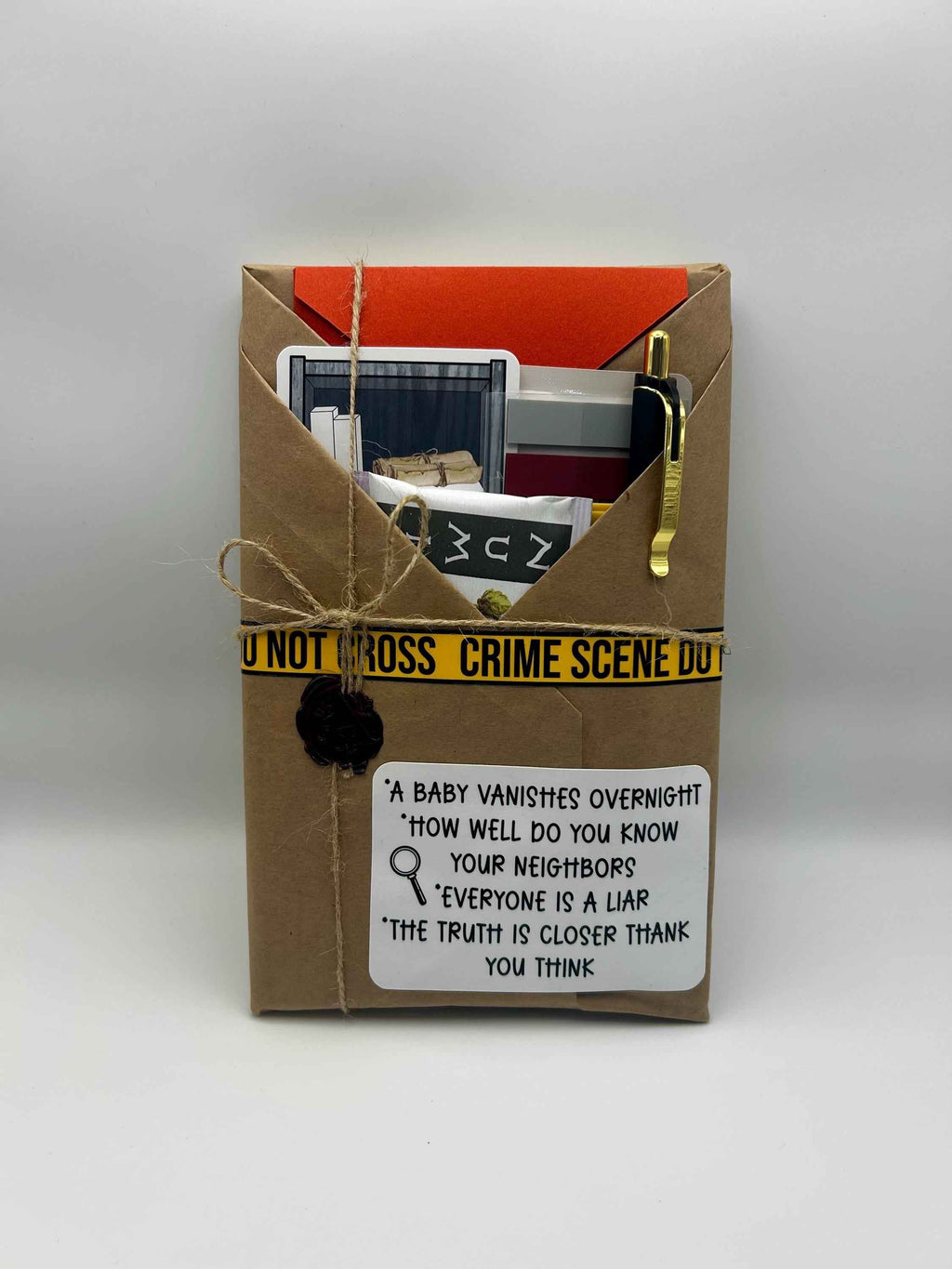 Blind Date with a Book Box | Surprise Wrapped Book, Cozy Reading Accessories, Genre Selection